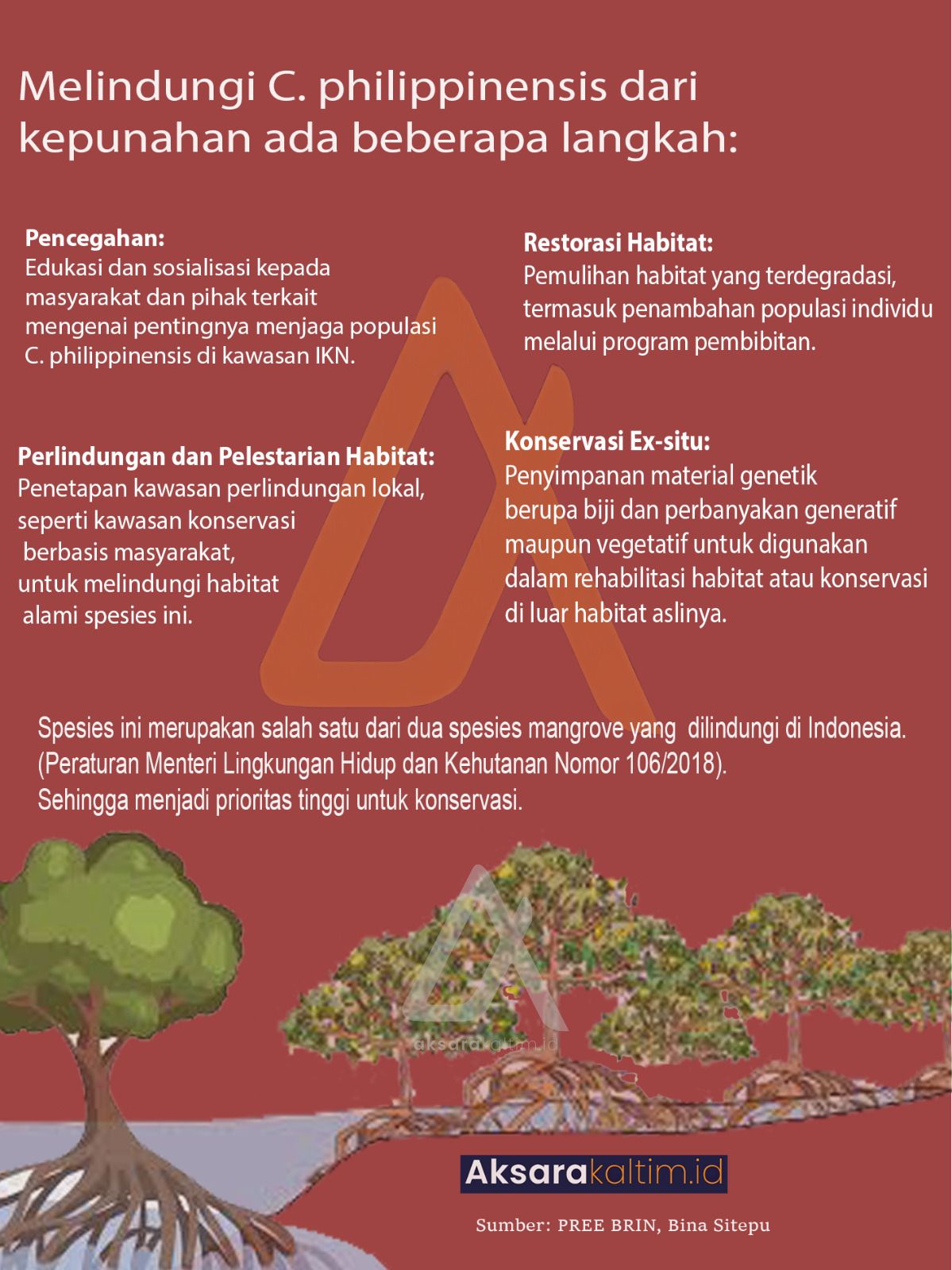 Infografis