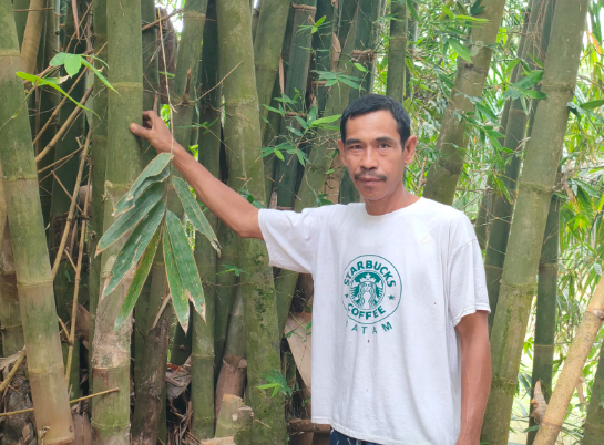 Datuk Sawaludin sebagai sekretaris Desa Sukarami menunjukkan bambu dabua yang masih kokoh di Desa Sukarami (Foto Nova Indriani) 