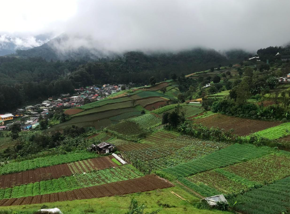 Pemandangan di kawasan geothermal Gede Panggrango (Foto : Faris Fadillah)