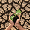 climate change.png